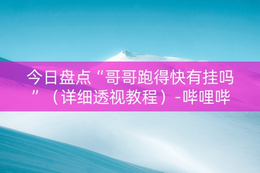 今日盘点“哥哥跑得快有挂吗”（详细透视教程）-哔哩哔哩