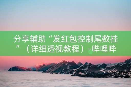 分享辅助“发红包控制尾数挂”（详细透视教程）-哔哩哔哩