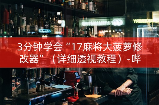 3分钟学会“17麻将大菠萝修改器”（详细透视教程）-哔哩哔哩