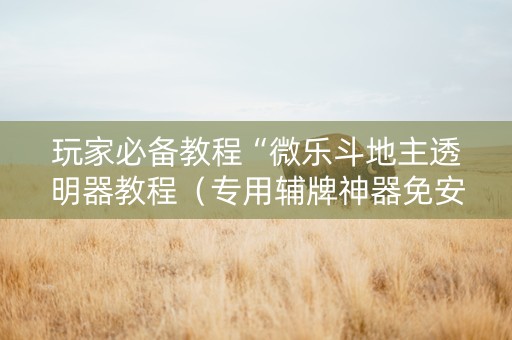玩家必备教程“微乐斗地主透明器教程（专用辅牌神器免安装）