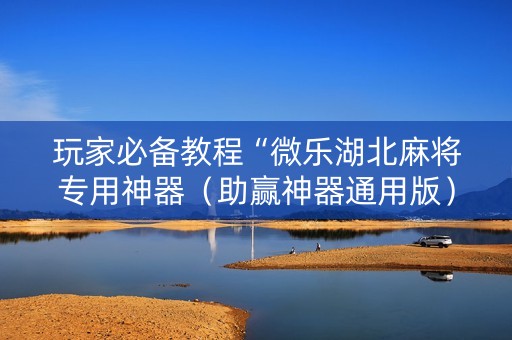 玩家必备教程“微乐湖北麻将专用神器（助赢神器通用版）