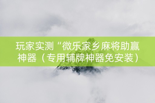 玩家实测“微乐家乡麻将助赢神器（专用辅牌神器免安装）
