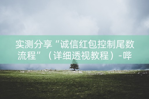 实测分享“诚信红包控制尾数流程”（详细透视教程）-哔哩哔哩