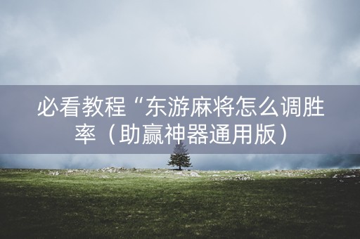 必看教程“东游麻将怎么调胜率（助赢神器通用版）