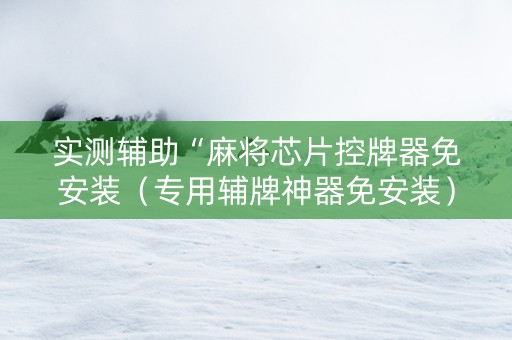 实测辅助“麻将芯片控牌器免安装（专用辅牌神器免安装）