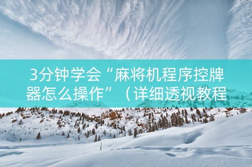 3分钟学会“麻将机程序控牌器怎么操作”（详细透视教程）-哔哩哔哩