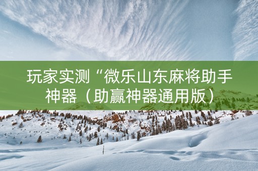 玩家实测“微乐山东麻将助手神器（助赢神器通用版）
