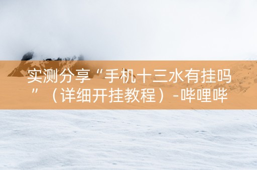 实测分享“手机十三水有挂吗”（详细开挂教程）-哔哩哔哩