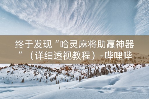 终于发现“哈灵麻将助赢神器”（详细透视教程）-哔哩哔哩