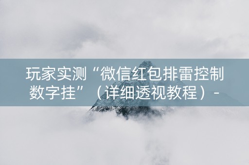 玩家实测“微信红包排雷控制数字挂”（详细透视教程）-哔哩哔哩