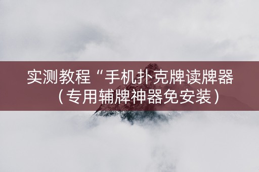 实测教程“手机扑克牌读牌器（专用辅牌神器免安装）
