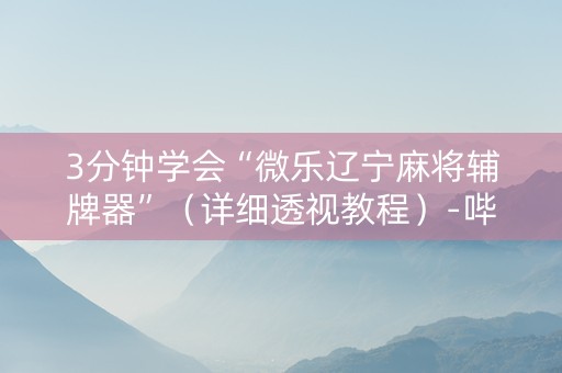 3分钟学会“微乐辽宁麻将辅牌器”（详细透视教程）-哔哩哔哩