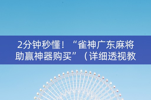 2分钟秒懂！“雀神广东麻将助赢神器购买”（详细透视教程）-哔哩哔哩