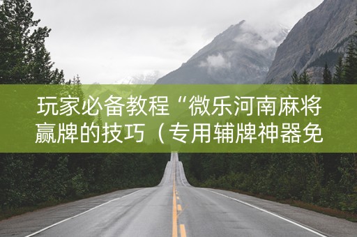 玩家必备教程“微乐河南麻将赢牌的技巧（专用辅牌神器免安装）