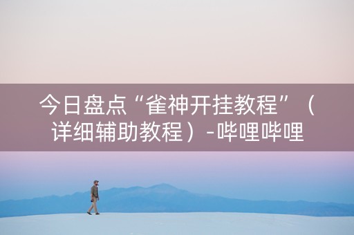 今日盘点“雀神开挂教程”（详细辅助教程）-哔哩哔哩