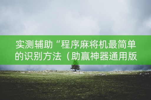 实测辅助“程序麻将机最简单的识别方法（助赢神器通用版）