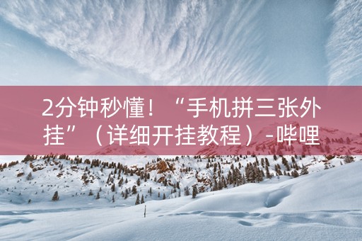 2分钟秒懂！“手机拼三张外挂”（详细开挂教程）-哔哩哔哩