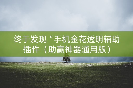 终于发现“手机金花透明辅助插件（助赢神器通用版）