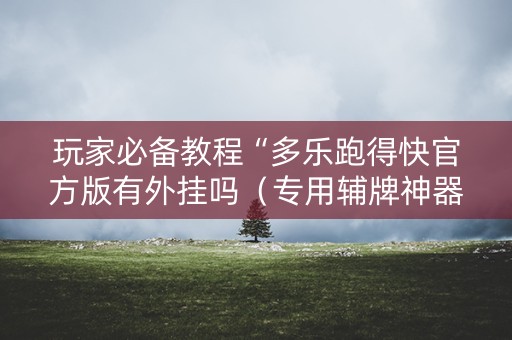 玩家必备教程“多乐跑得快官方版有外挂吗（专用辅牌神器免安装）
