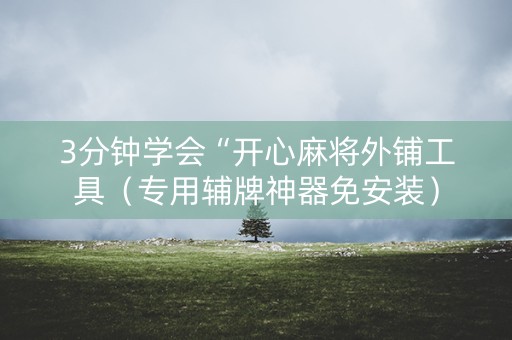3分钟学会“开心麻将外铺工具（专用辅牌神器免安装）