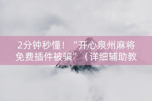 2分钟秒懂！“开心泉州麻将免费插件被骗”（详细辅助教程）-哔哩哔哩