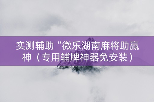实测辅助“微乐湖南麻将助赢神（专用辅牌神器免安装）