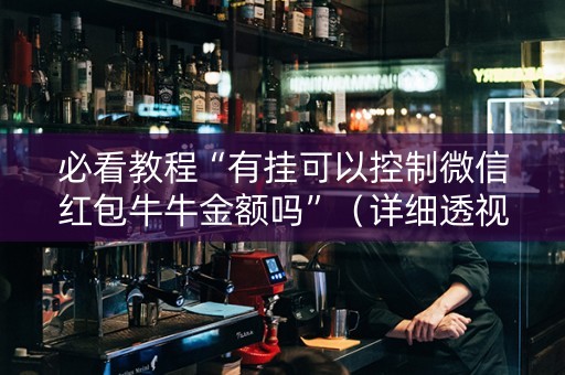 必看教程“有挂可以控制微信红包牛牛金额吗”（详细透视教程）-哔哩哔哩