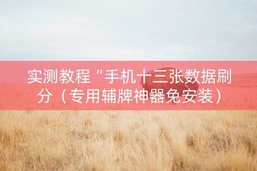 实测教程“手机十三张数据刷分（专用辅牌神器免安装）