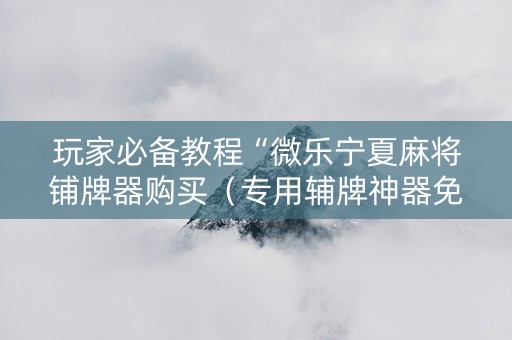 玩家必备教程“微乐宁夏麻将铺牌器购买（专用辅牌神器免安装）