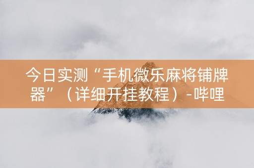 今日实测“手机微乐麻将铺牌器”（详细开挂教程）-哔哩哔哩