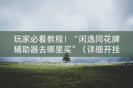 玩家必看教程！“闲逸同花牌辅助器去哪里买”（详细开挂教程）-哔哩哔哩