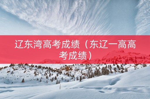 辽东湾高考成绩（东辽一高高考成绩）