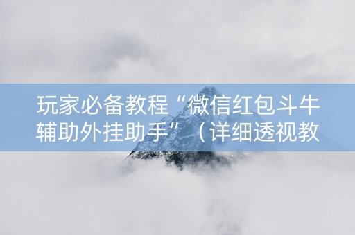 玩家必备教程“微信红包斗牛辅助外挂助手”（详细透视教程）-哔哩哔哩