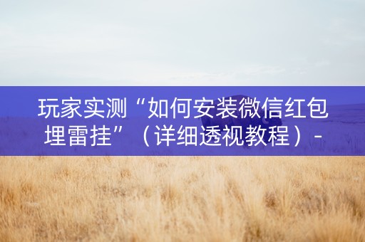 玩家实测“如何安装微信红包埋雷挂”（详细透视教程）-哔哩哔哩