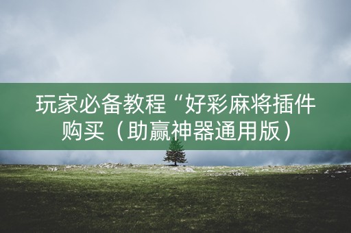 玩家必备教程“好彩麻将插件购买（助赢神器通用版）