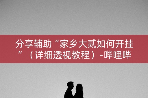 分享辅助“家乡大贰如何开挂”（详细透视教程）-哔哩哔哩