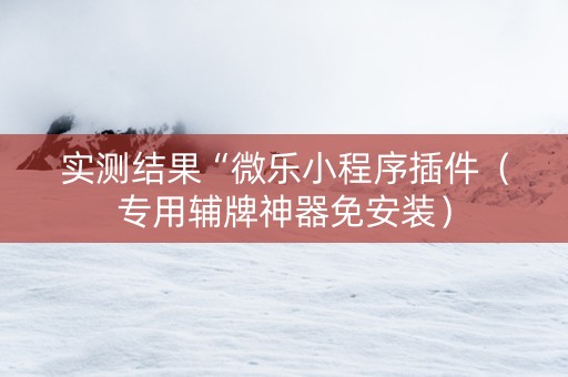 实测结果“微乐小程序插件（专用辅牌神器免安装）