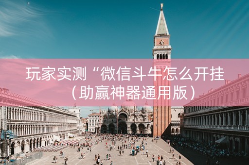 玩家实测“微信斗牛怎么开挂（助赢神器通用版）