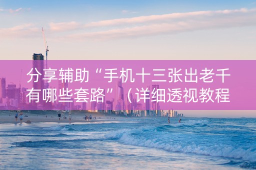 分享辅助“手机十三张出老千有哪些套路”（详细透视教程）-哔哩哔哩