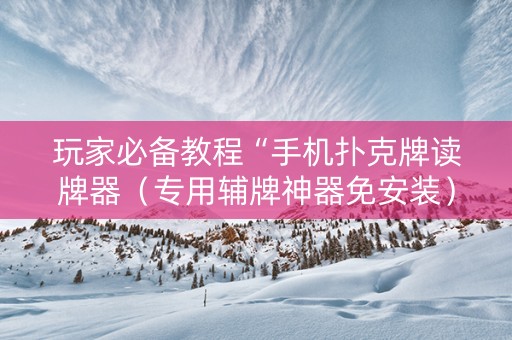 玩家必备教程“手机扑克牌读牌器（专用辅牌神器免安装）
