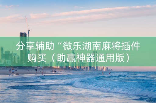 分享辅助“微乐湖南麻将插件购买（助赢神器通用版）