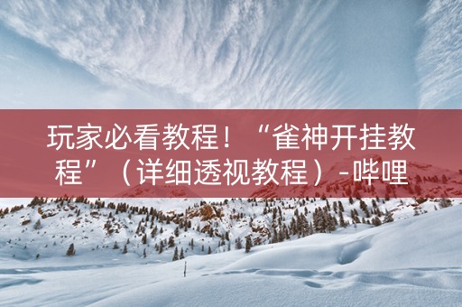 玩家必看教程！“雀神开挂教程”（详细透视教程）-哔哩哔哩