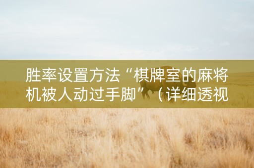 胜率设置方法“棋牌室的麻将机被人动过手脚”（详细透视教程）-哔哩哔哩