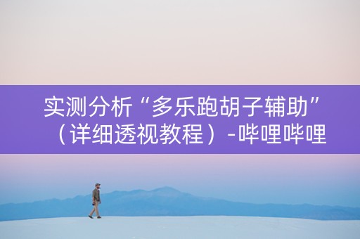实测分析“多乐跑胡子辅助”（详细透视教程）-哔哩哔哩