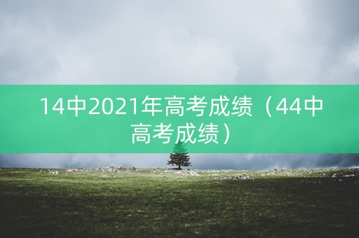 14中2021年高考成绩（44中高考成绩）