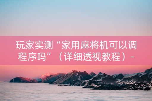 玩家实测“家用麻将机可以调程序吗”（详细透视教程）-哔哩哔哩