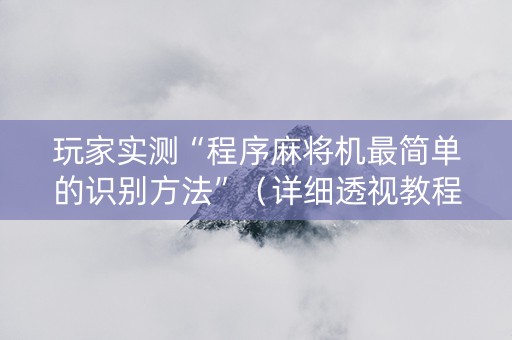 玩家实测“程序麻将机最简单的识别方法”（详细透视教程）-哔哩哔哩