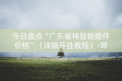 今日盘点“广东雀神智能插件价格”（详细开挂教程）-哔哩哔哩