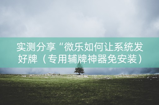 实测分享“微乐如何让系统发好牌（专用辅牌神器免安装）