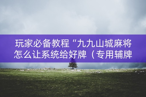 玩家必备教程“九九山城麻将怎么让系统给好牌（专用辅牌神器免安装）